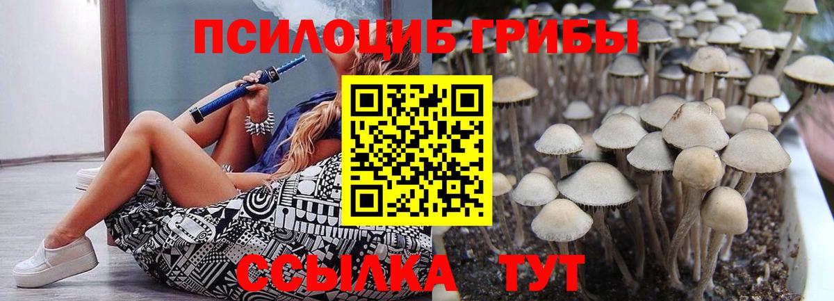 Галлюциногенные грибы GOLDEN TEACHER  Вход с VPN  Тюмень  Галлюциногенные грибы Cubensis 